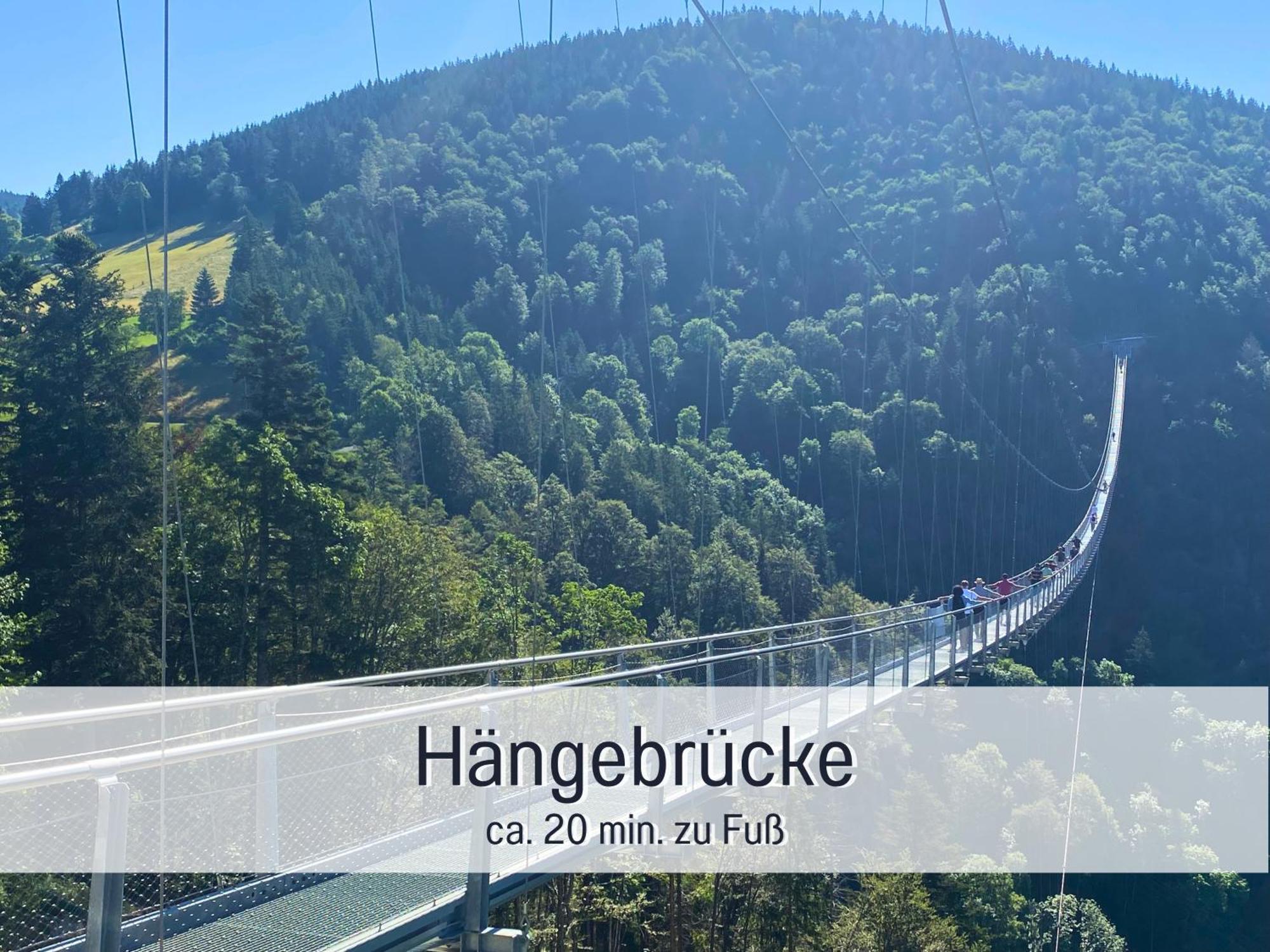 HERZGRÜN Grandiose Aussicht, Wanderparadies, nahe Skilift, Sauna im Haus Todtnauberg Exterior foto