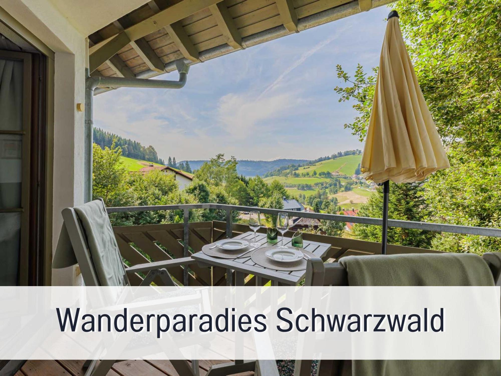 HERZGRÜN Grandiose Aussicht, Wanderparadies, nahe Skilift, Sauna im Haus Todtnauberg Exterior foto